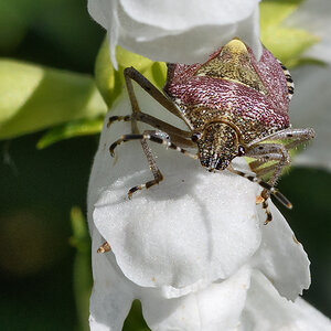 OF5_24031.jpg