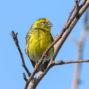 OF5_22790.jpg