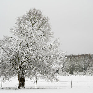 Winter in Alfter_001Winter in Alfter neu.JPG