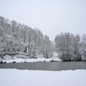 Winterwonder-0425_01_01.JPG