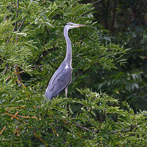 OF5_24384.jpg