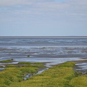 DSC_1055.JPG