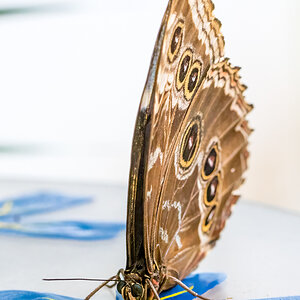 220809-037.jpg