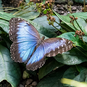 220809-051.jpg
