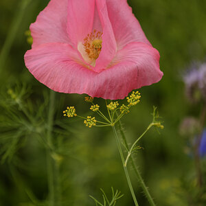 NIKON_2022_00268NF.jpg