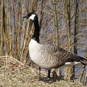 _DSC9838NF.jpg