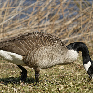 _DSC9854NF.jpg