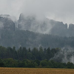 DSC_3335_00001 (2)n.jpg