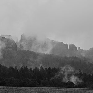 DSC_3335_00001_03n.jpg