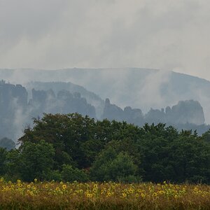 DSC_3356_00001n.jpg