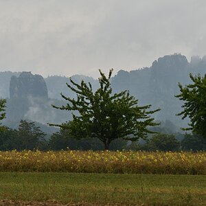 DSC_3353_00001 (2)n.jpg