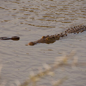 FAF9281E-6DCE-4F53-A249-88FCE5035180.jpeg