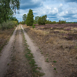 Hermann Löns Trail (1 von 1).jpg