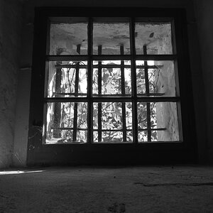 DSC_9118_00001_03n.jpg