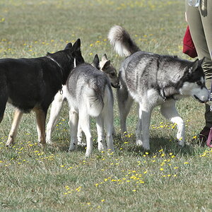 Melle 08_2022-011.jpg