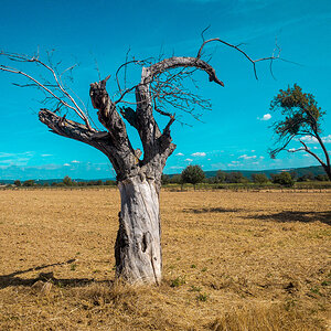 High Noon