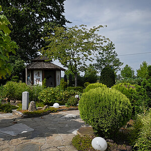DSC_5256.jpg
