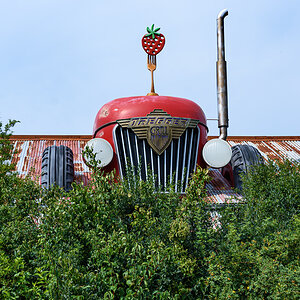OF2_58017.jpg