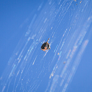 20111001-DSC_0361.jpg