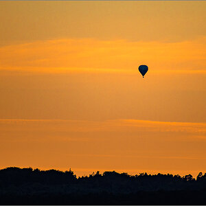 D50_8577-2.jpg