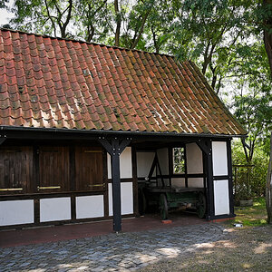 DSC_5290.jpg