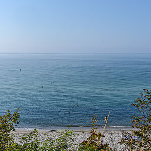 OF2_58307.jpg