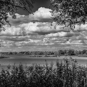 Gartower See BW (1 von 1).jpg