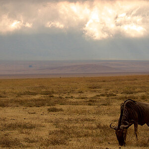 DF1A7B83-9285-4A33-809B-37AB65806AF6.jpeg