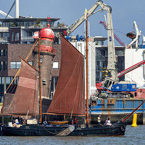 D50_2743-.JPG