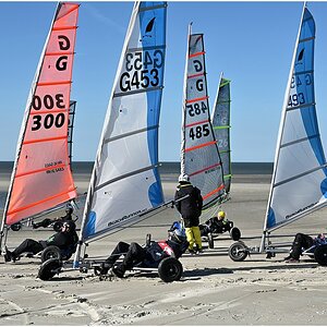 comp_DSC_2783.jpg