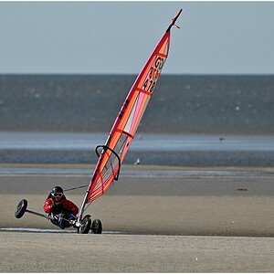 comp_DSC_2878.jpg