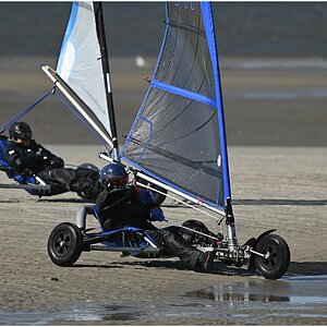comp_DSC_2996.jpg
