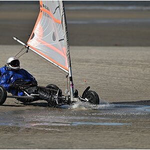 comp_DSC_3101.jpg