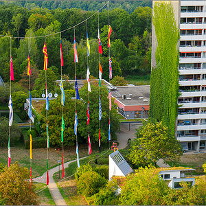 P9110832.jpg