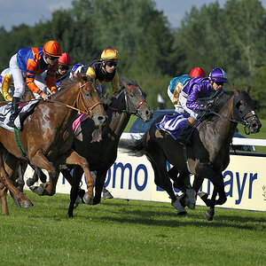 20090726 175317 01 Galopprennen