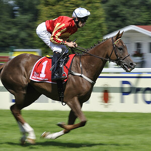 20090726 151052 Galopprennen