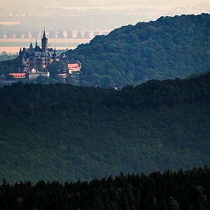 20090810 08 Steinerne Renne