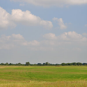 Landschaft