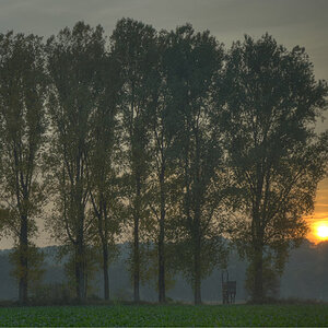 Ph HuelserBerg 5