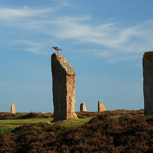 brodgar2