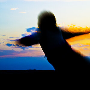 Try to fly