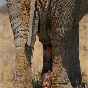 comp Namibia 09 18819
