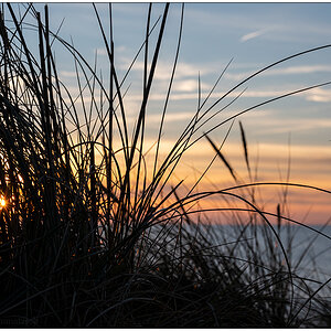 388 Sylt – Sonnenuntergang Kliff Kampen VII