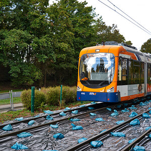 variobahn_MVV.jpg