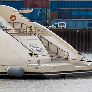 Dilbar-009.jpg