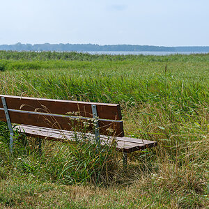 OF2_57750.jpg