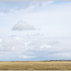 403 Sylt – Spaziergang an der Wattseite in Keitum I