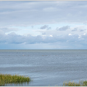 406 Sylt – Spaziergang an der Wattseite in Keitum IV