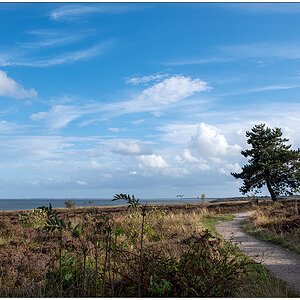 426 Sylt – Spaziergang in der Braderuper Heide I