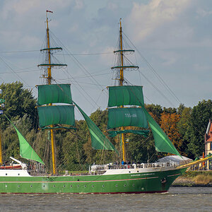 F80_5427-.JPG
